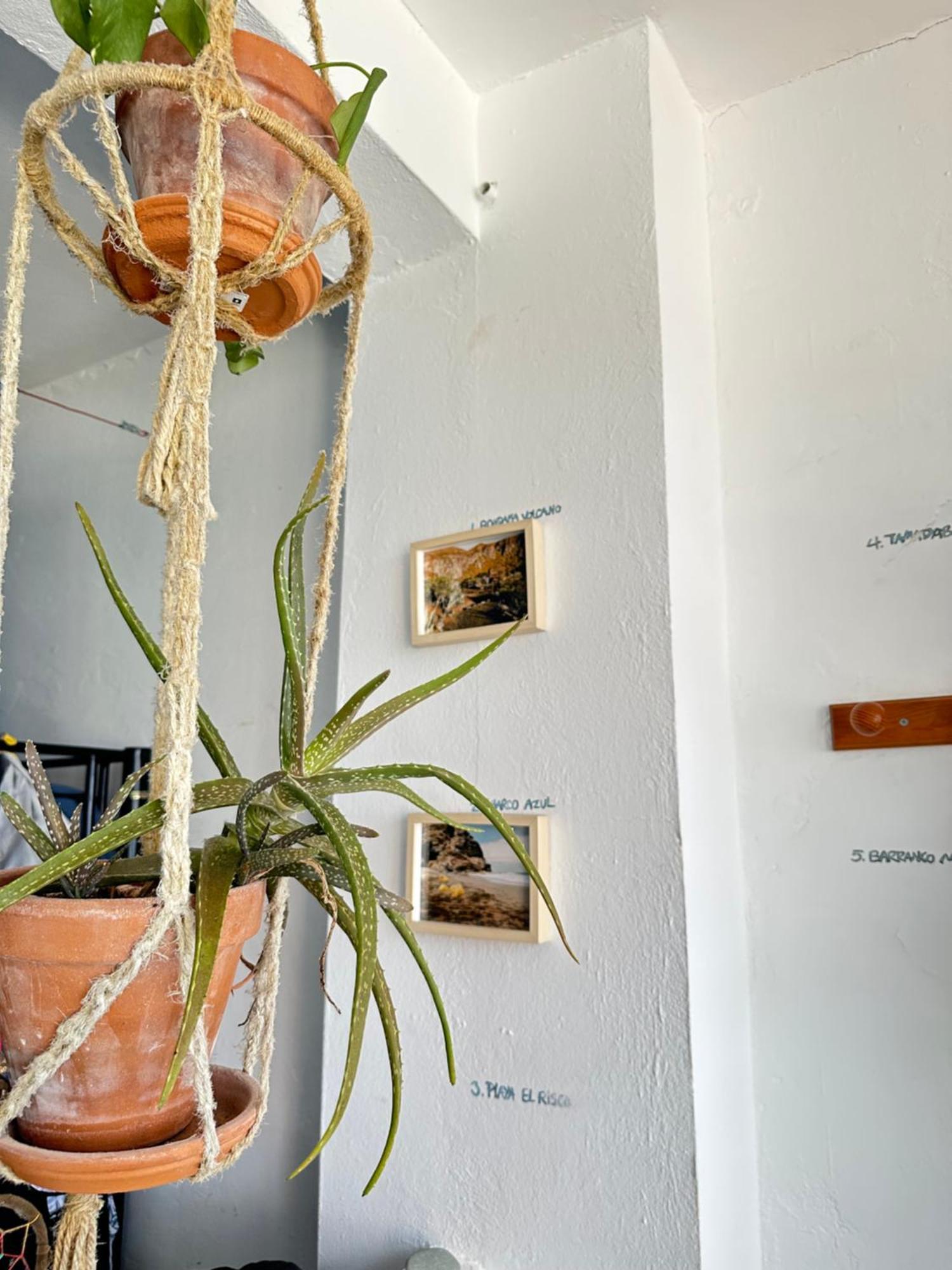 Agueita House Hostel Las Palmas de Gran Canaria Ngoại thất bức ảnh